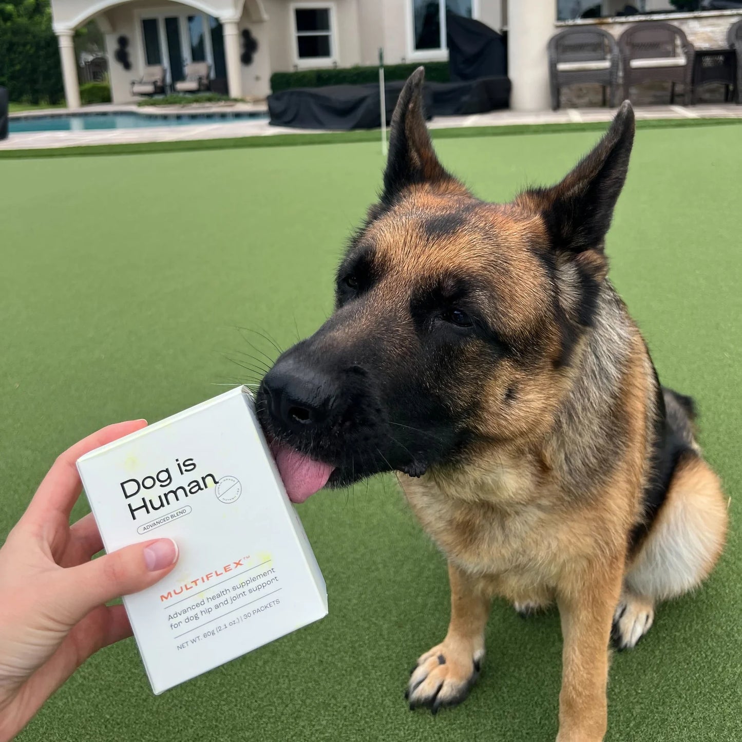 Multivitamines Quotidiennes pour Chien Pawvita — 12 Actifs Premium, Friandises au Poulet (60 chews)