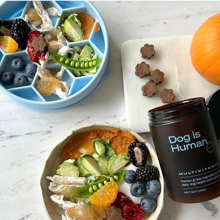Multivitamines Quotidiennes pour Chien Pawvita — 12 Actifs Premium, Friandises au Poulet (60 chews)