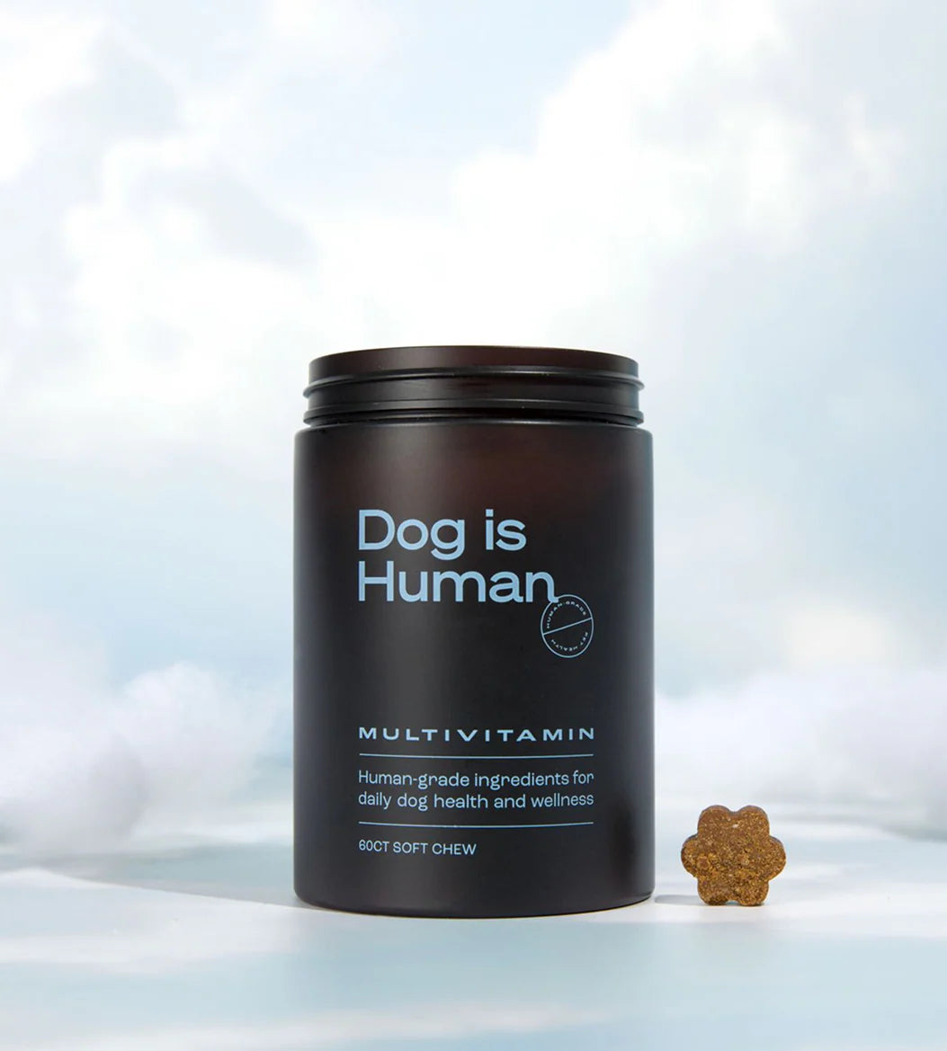 Multivitamines Quotidiennes pour Chien Pawvita — 12 Actifs Premium, Friandises au Poulet (60 chews)