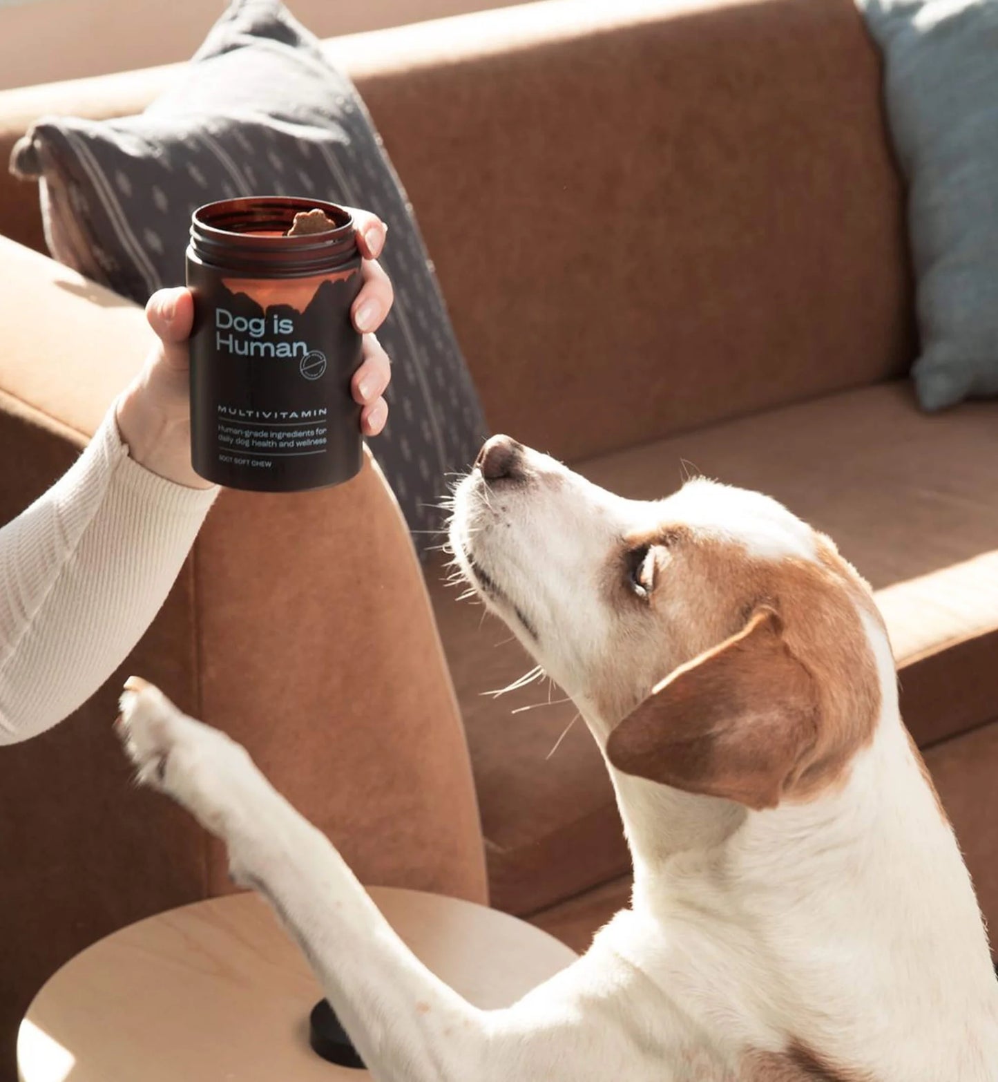 Multivitamines Quotidiennes pour Chien Pawvita — 12 Actifs Premium, Friandises au Poulet (60 chews)